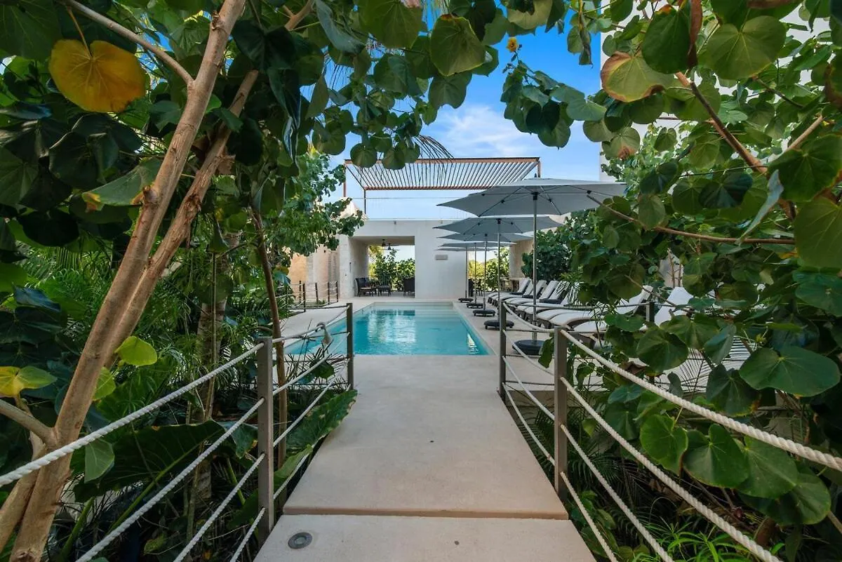 Akumal Seaside Ocean View Beach Access Rooftop Pools 0*,